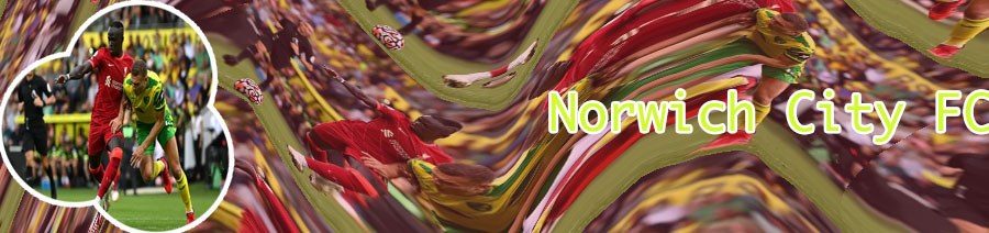 Norwich city scores