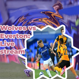 Wolves v everton